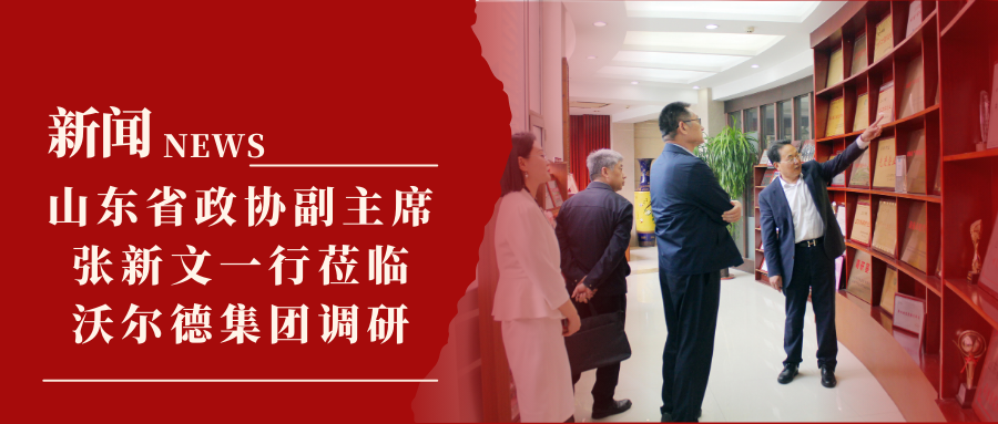 新闻 | 山东省政协副主席张新文一行莅临沃尔德集团调研